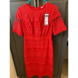 New York & company dress